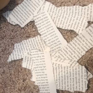 ripped book pages