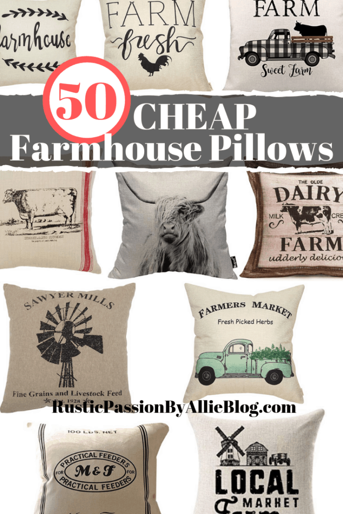 50 Of The BEST Affordable Farmhouse Pillows For Your Home.