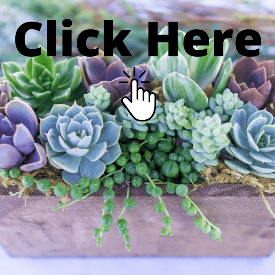 29 Unique Ways To Display Fake Succulent Arrangements.