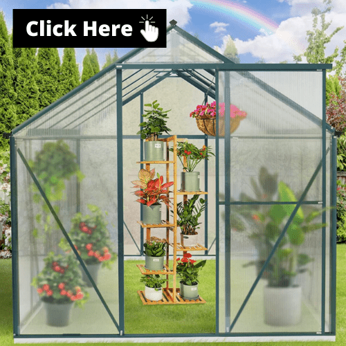 The VERY Best Small Greenhouse Options For All Year Round.