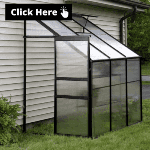 greenhouse-attached-to-home